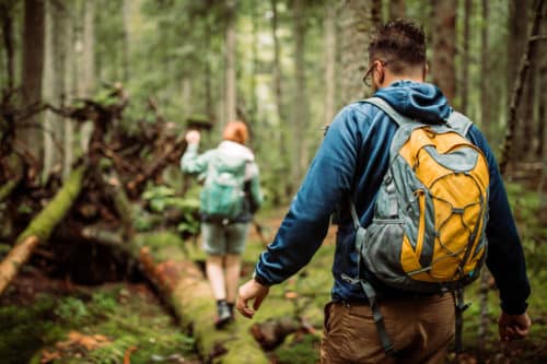 Move for Charity 2023. People walking in the forest.